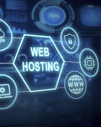Domain Hosting